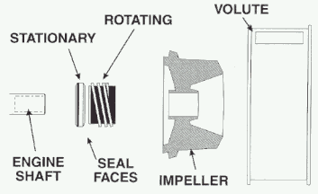 centrifugal pumps impeller and a volute assembly
